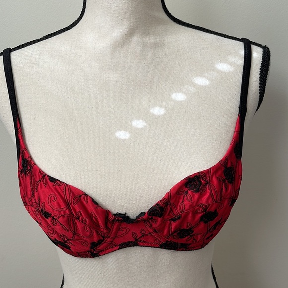 Victoria’s Secret Embroidered Demi Bra - Picture 3 of 16